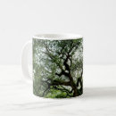 Suche nach johns insel Baum