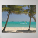 Suche nach westindien poster Küste