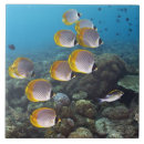 Suche nach indonesien fliesen Bali