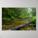 Suche nach dampfer poster Wald