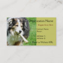 Recherche de abri cartes visite Organisation