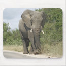 Recherche de enorme tapis souris Éléphant