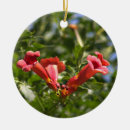Suche nach trompeten ornamente Feiertage