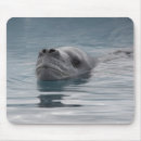 Recherche de froid tapis souris Nature