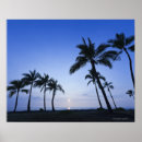Recherche de tranquille posters Palmier