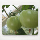 Recherche de tomates tapis souris Nourriture