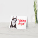 Suche nach sibirischer husky karten Welpe