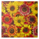 Recherche de sunflower carreaux Tournesol