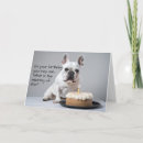 Recherche de frenchy cartes postales Animal