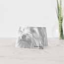 Recherche de yorkshire terriers vœux cartes Animal