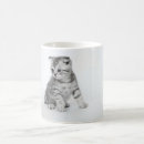 Recherche de scotish tasses Chat