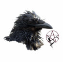 Recherche de aviaire photo sculptures Nature