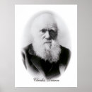 Suche nach evolution kunst Darwin