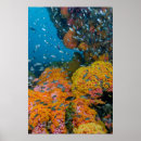 Suche nach triton poster Unterwasser