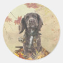 Suche nach cocker spaniel welpe aufkleber Haustier