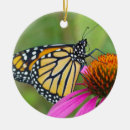 Suche nach wanze ornamente Natur