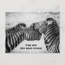 Suche nach zebras poster Pferd
