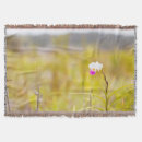 Suche nach hawaii decken Blume