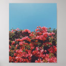 Recherche de los angeles art Rose