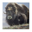 Suche nach ken fliesen Arktisch