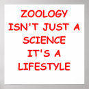 Recherche de zoologie poster Science