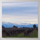 Recherche de vigne posters Montagnes