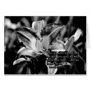 Suche nach jeremias postkarten Christlich