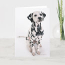 Suche nach vorderansicht karten In voller länge