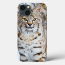 Recherche de chat sauvage électronique Neige