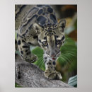 Suche nach tierfotos poster Tiere