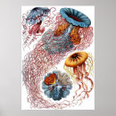 Suche nach platten kunst Vintag
