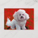 Recherche de la frise cartes visite Frise de bichon