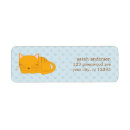 Recherche de chat tigré orange Chats