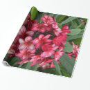 Suche nach frangipani geschenkpapier Botanisch