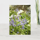 Suche nach details karten Blume