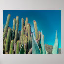 Recherche de pear posters Paysage