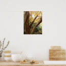 Recherche de japonaise photographie Arbre