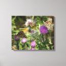 Suche nach dornen leinwandbilder Natur