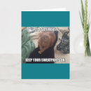 Suche nach küken karten Lustig