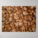 Suche nach mandeln poster Natur