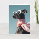 Recherche de saluki vœux cartes Whippet