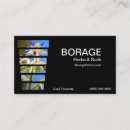 Recherche de herbs cartes visite Herbes