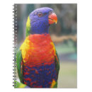 Suche nach australien kleine notizbücher Vogelvogel