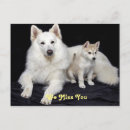 Recherche de chiens mignons cartes postales Animaux de compagnie