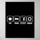 Recherche de cricket posters Sports