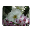 Recherche de orchidée magnets Blanc