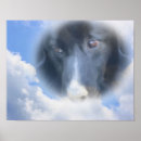 Suche nach border collie kunst Grenzkollie