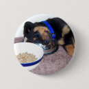 Suche nach rottweiler hund buttons Lustig