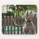 Suche nach dan mousepads Hund