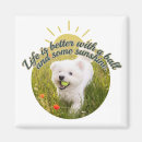 Suche nach dandelion magnete Glücklich